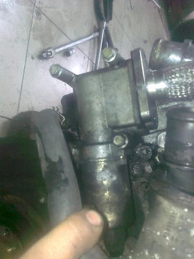 ������ ������� ������� ����...