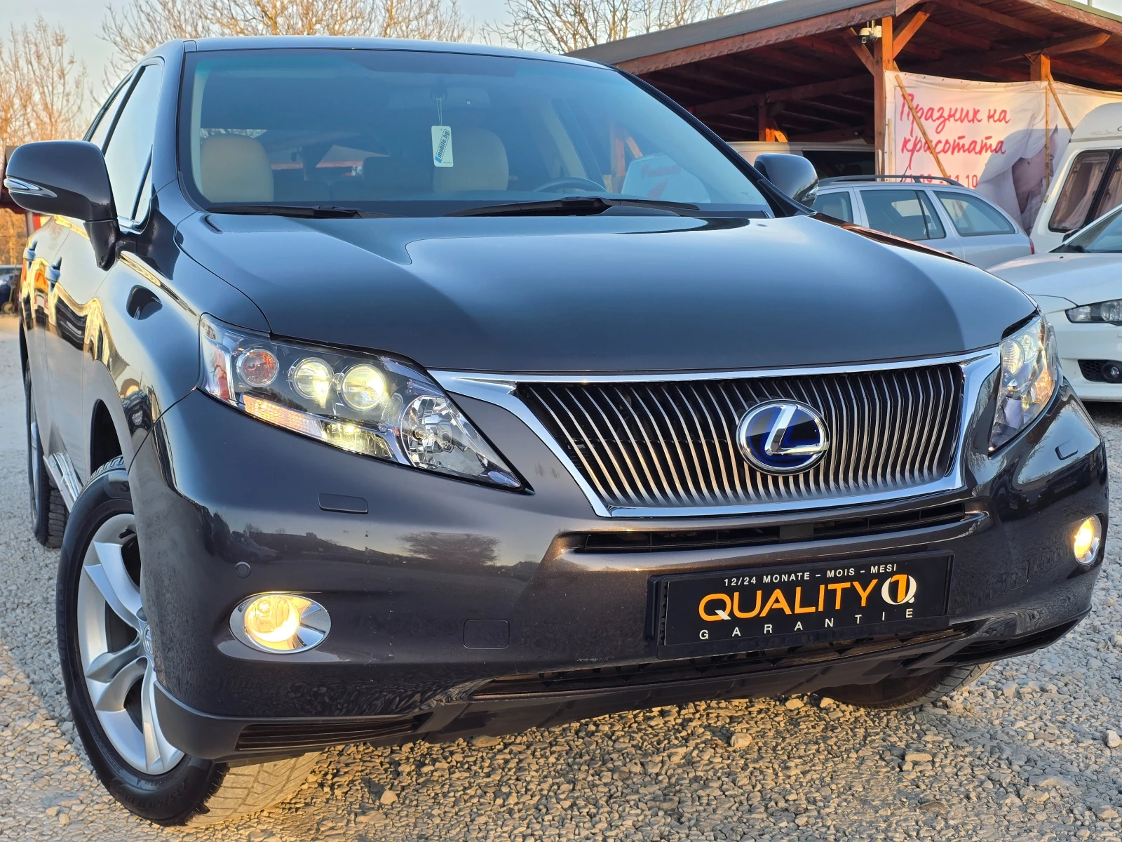 Lexus RX 450h 3.5HYBRID/165хил./4X4/EXECUTIVE/ШВЕЙЦАРИЯ, снимка 9 - Автомобили и джипове - 53818481