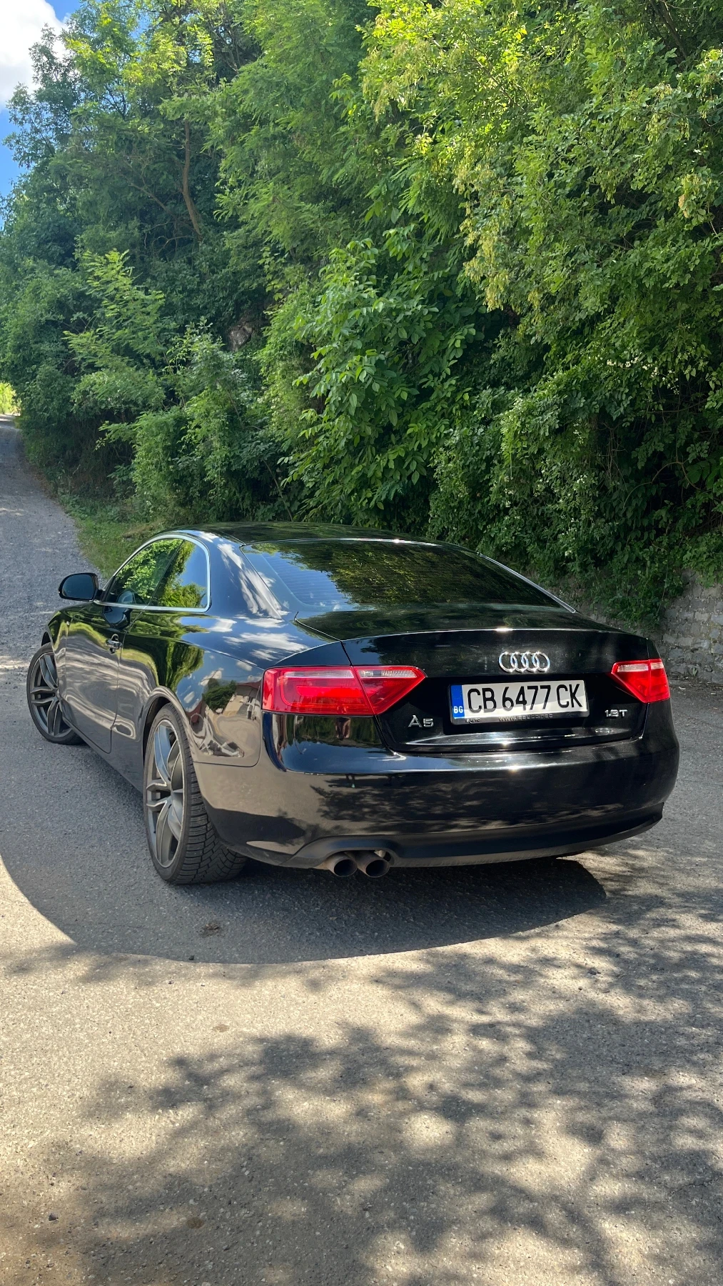 Audi A5, снимка 2 - Автомобили и джипове - 55284813