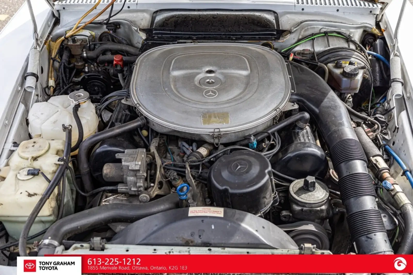 Mercedes-Benz 560 SL * КРАЙНА ЦЕНА* SPECIAL, снимка 6 - Автомобили и джипове - 55973078