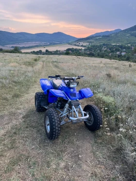     Yamaha Raptor