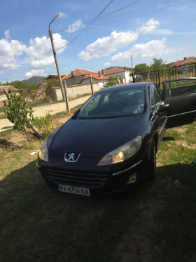     Peugeot 407