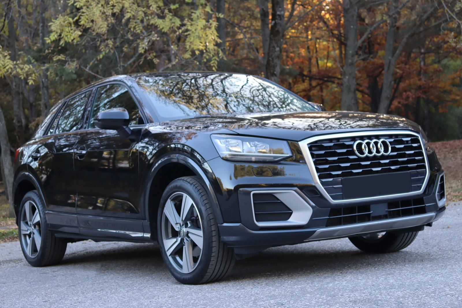 Audi Q2 Германия - изображение 2