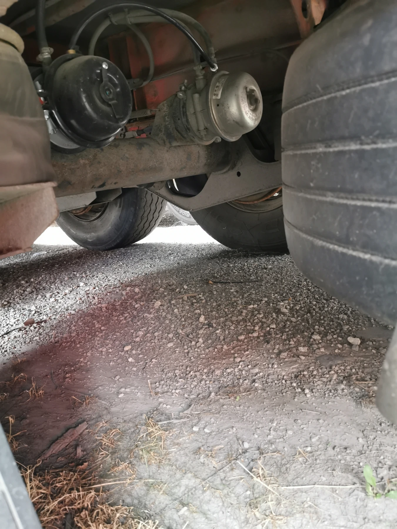  Krone | Mobile.bg   4