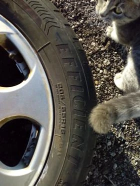 Гуми Летни 205/55R16, снимка 7