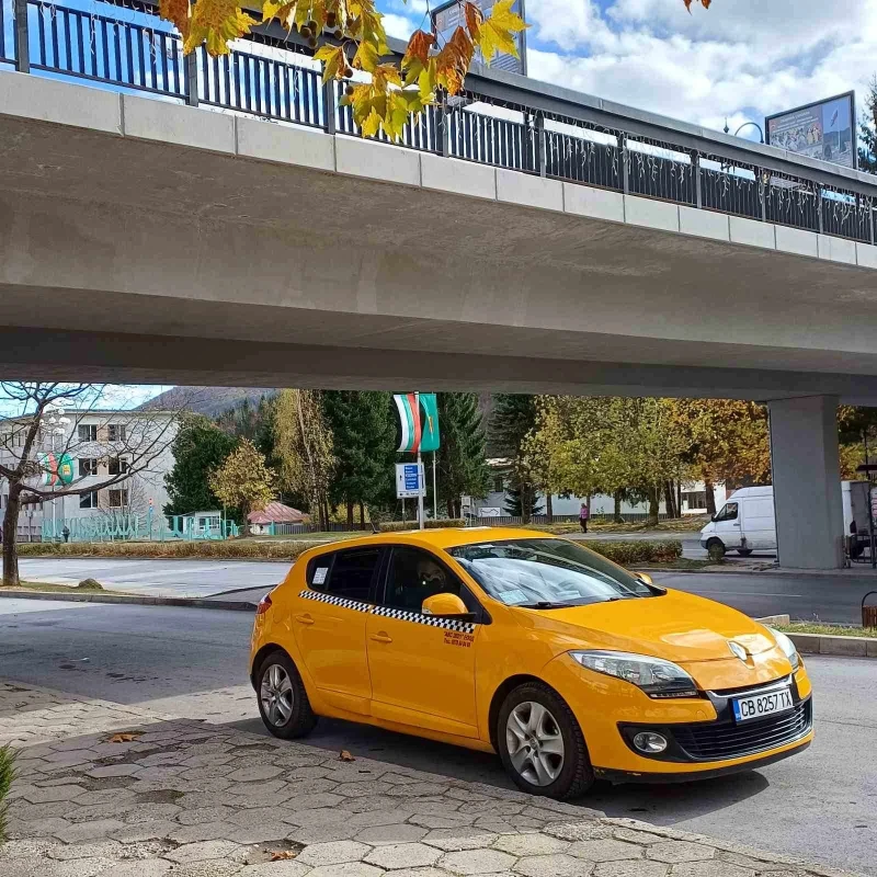 Renault Megane, снимка 1 - Автомобили и джипове - 47236349