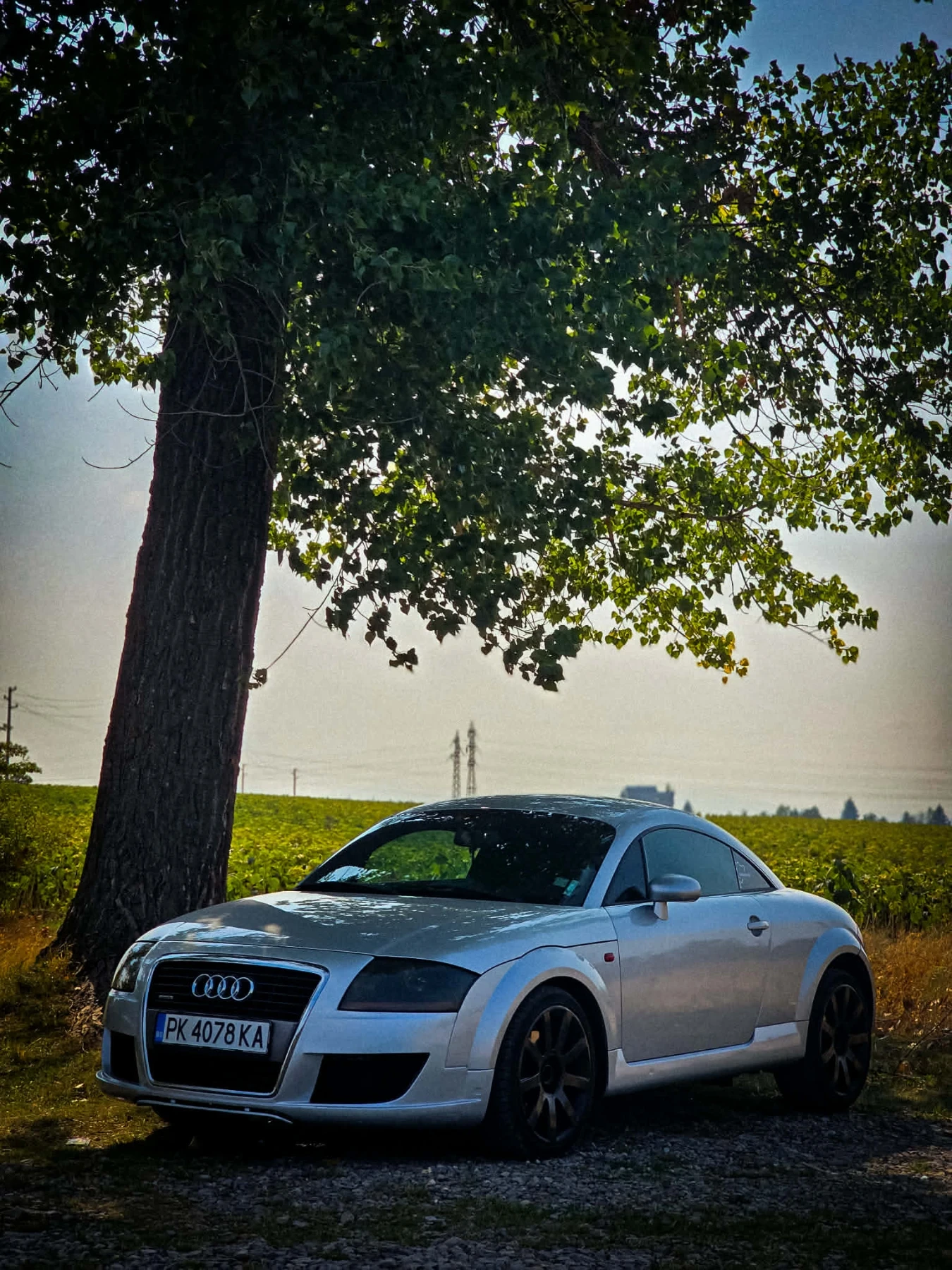 Audi Tt 1.8 Т - изображение 8