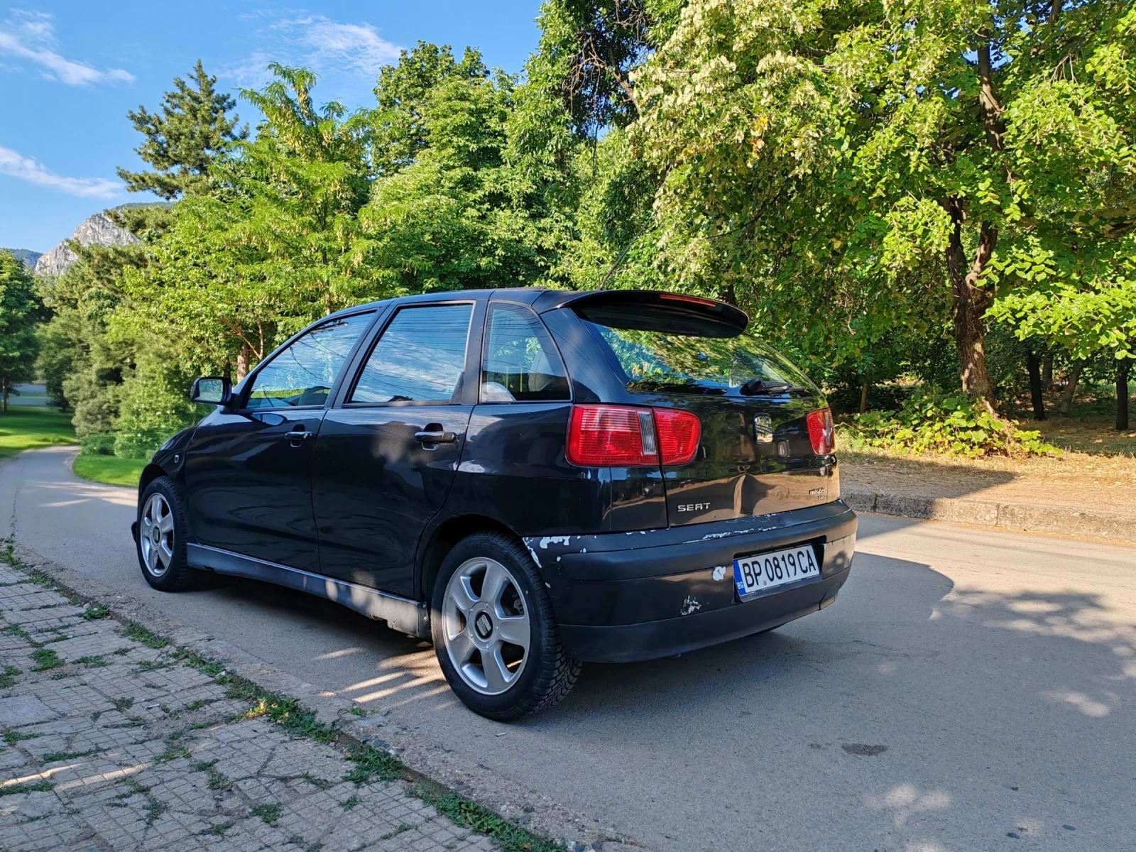 Seat Ibiza 1.9 TDI, снимка 5 - Автомобили и джипове - 55246920