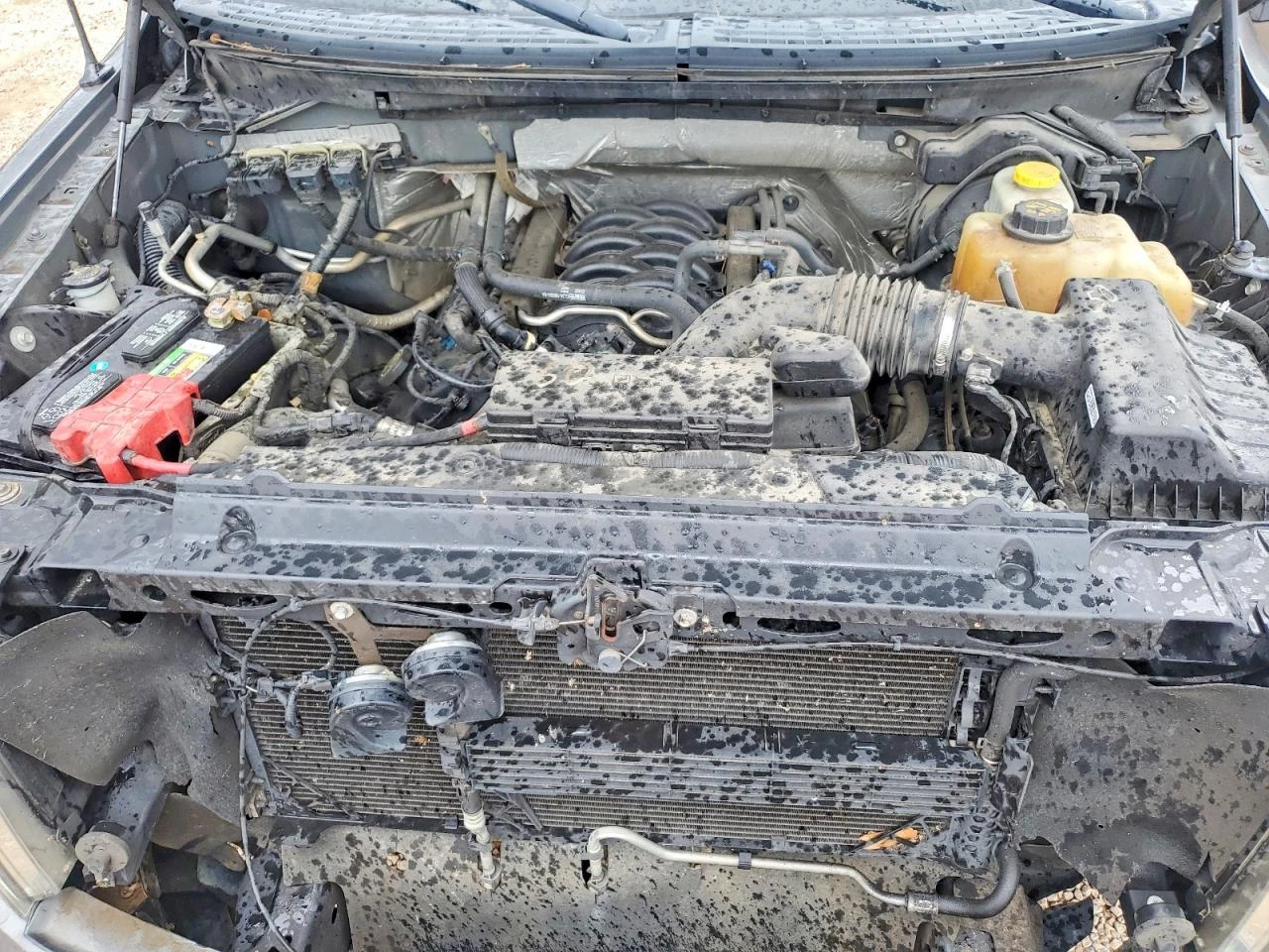 Ford F150 5.0 V8| ����| �������| ���������| �������� ������� | Mobile.bg � ����������� 11