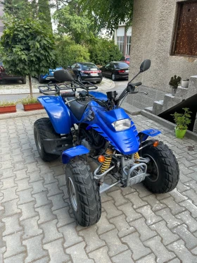     Kymco Sting Barossa Stinger 170