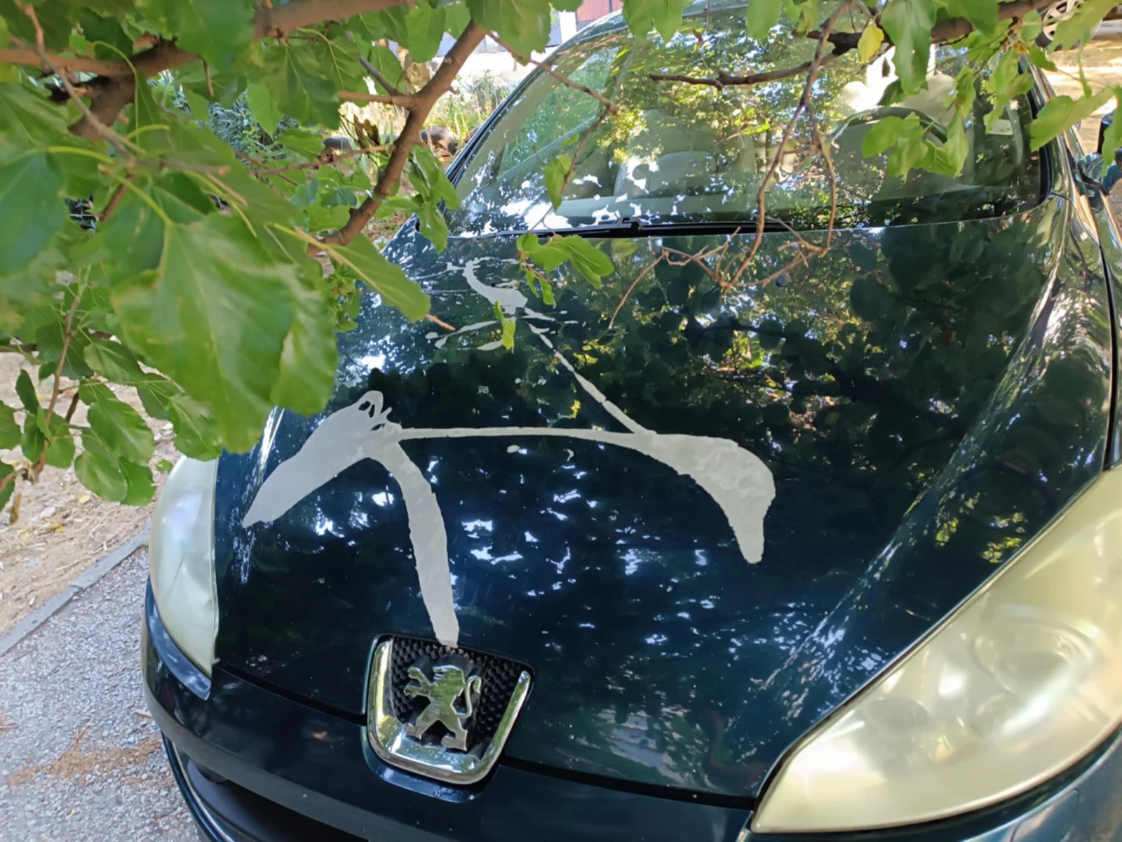 Peugeot 407  - изображение 7