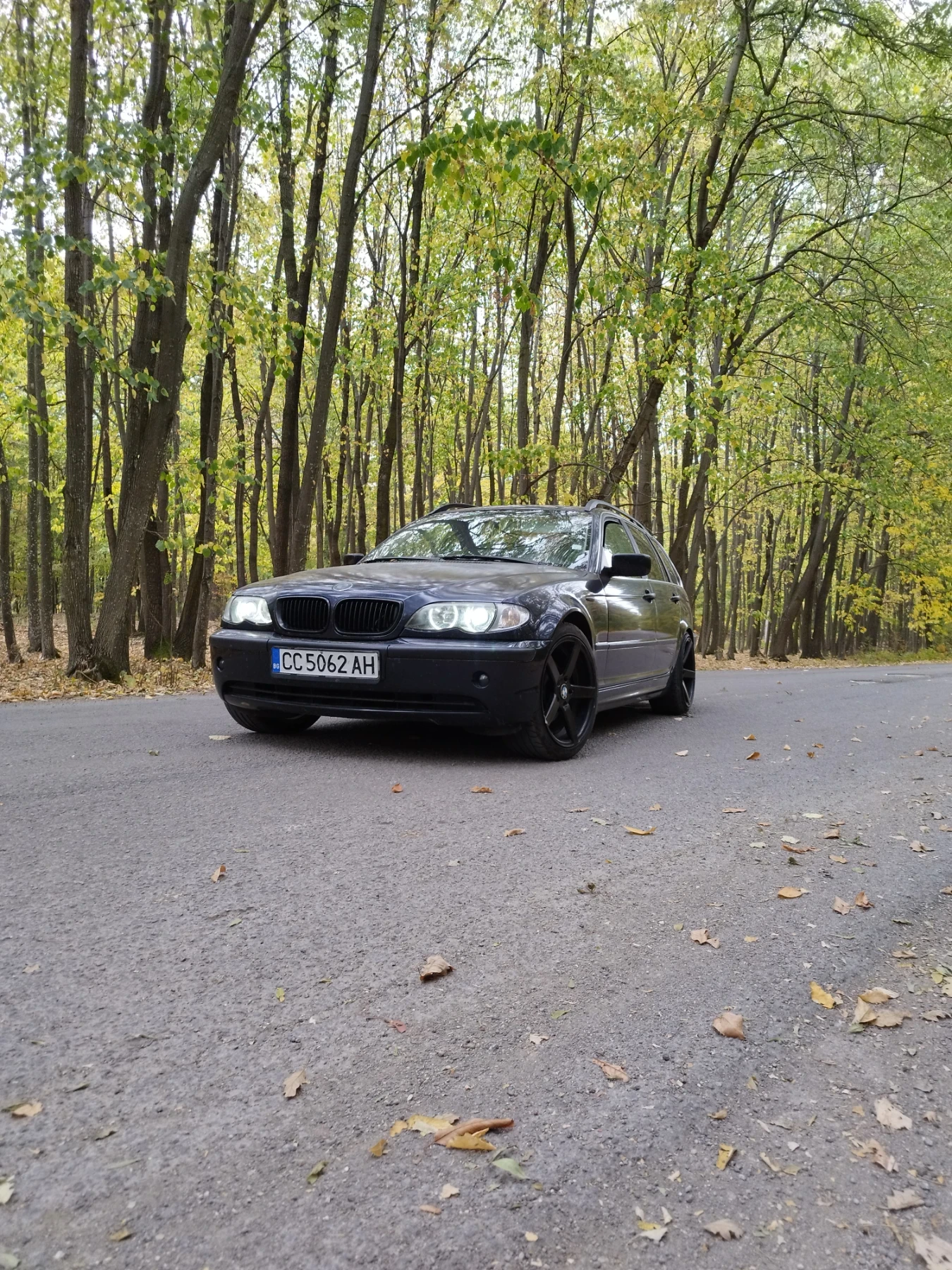 BMW 320, снимка 3 - Автомобили и джипове - 54415773