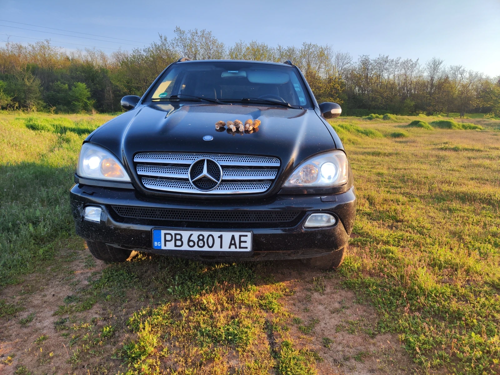 Mercedes-Benz ML 350