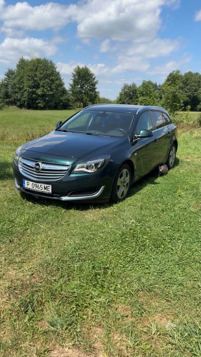 Opel Insignia, снимка 4 - Автомобили и джипове - 56144751