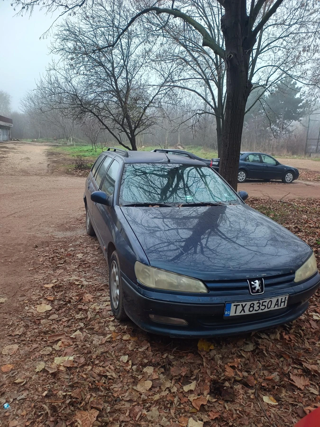 Peugeot 406  - изображение 4