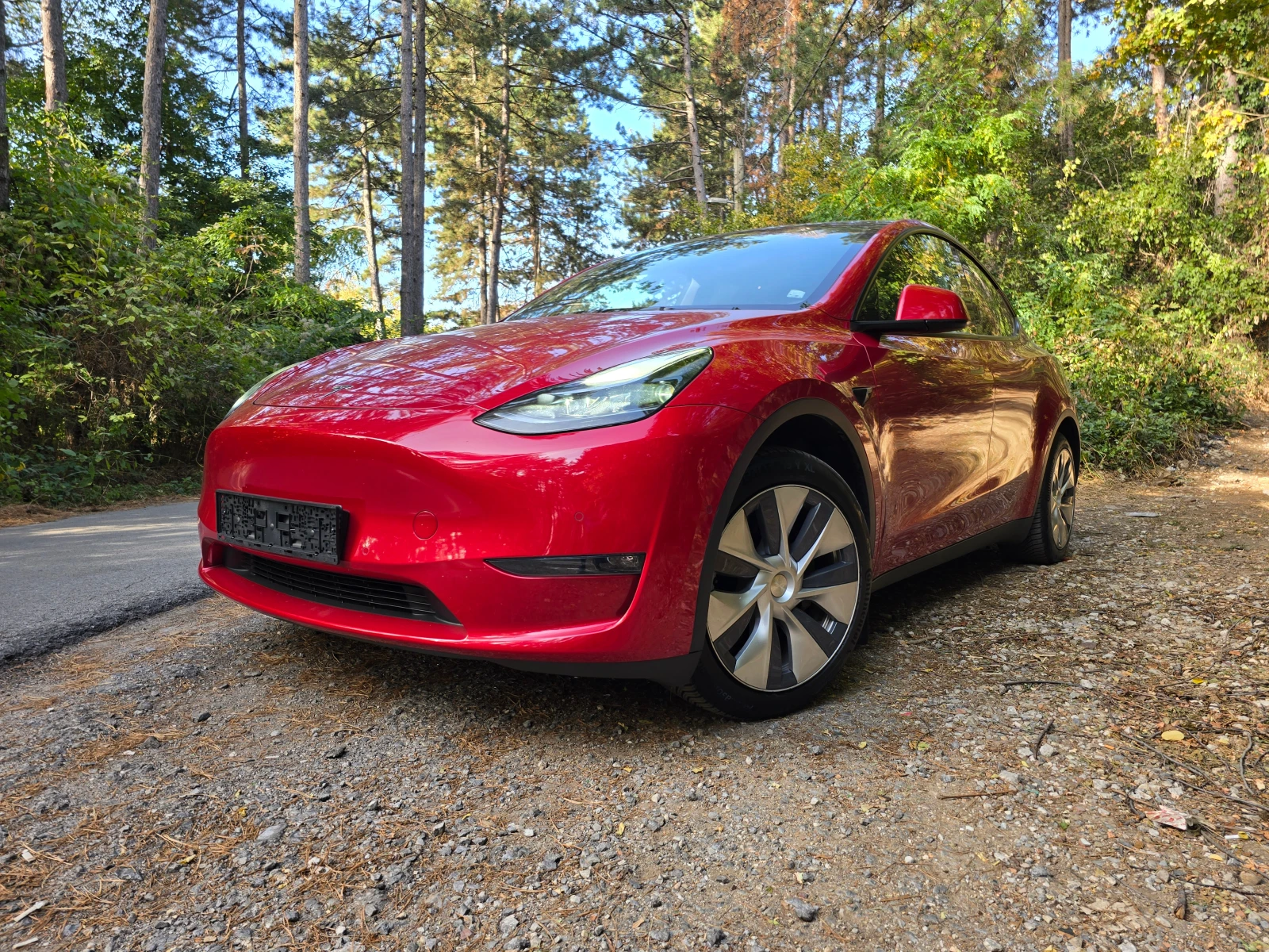 Tesla Model Y Dual Motor Long Range Гаранция