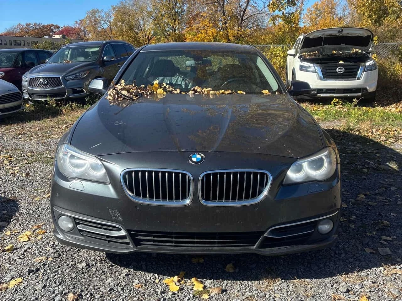 BMW 535 * 535d xDrive * ���������� ��� ������������ ������ | Mobile.bg � ����������� 6