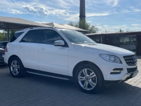 Mercedes-Benz ML 250 | Mobile.bg    3