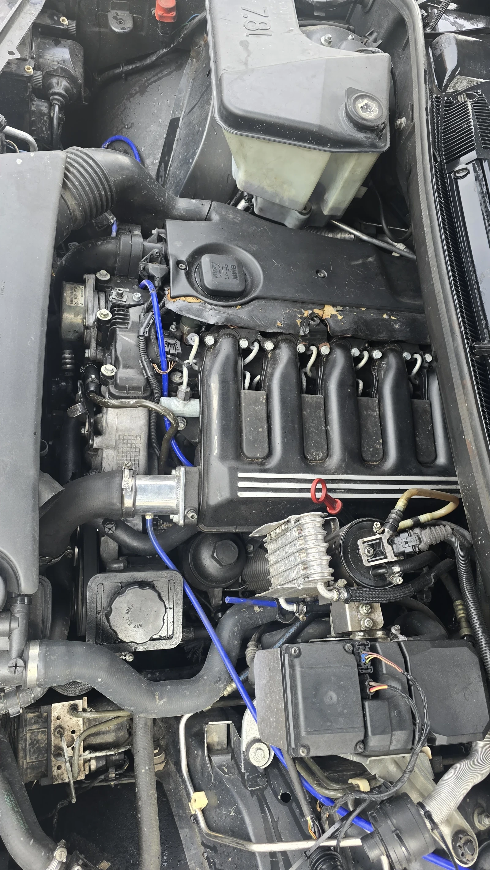 BMW X5, снимка 14 - Автомобили и джипове - 54205351