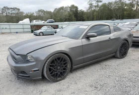 Ford Mustang  1