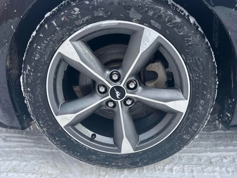 Ford Mustang * V6 * CARFAX * ЗАДНА КАМЕРА* КИЙЛЕС* , снимка 7 - Автомобили и джипове - 53327622