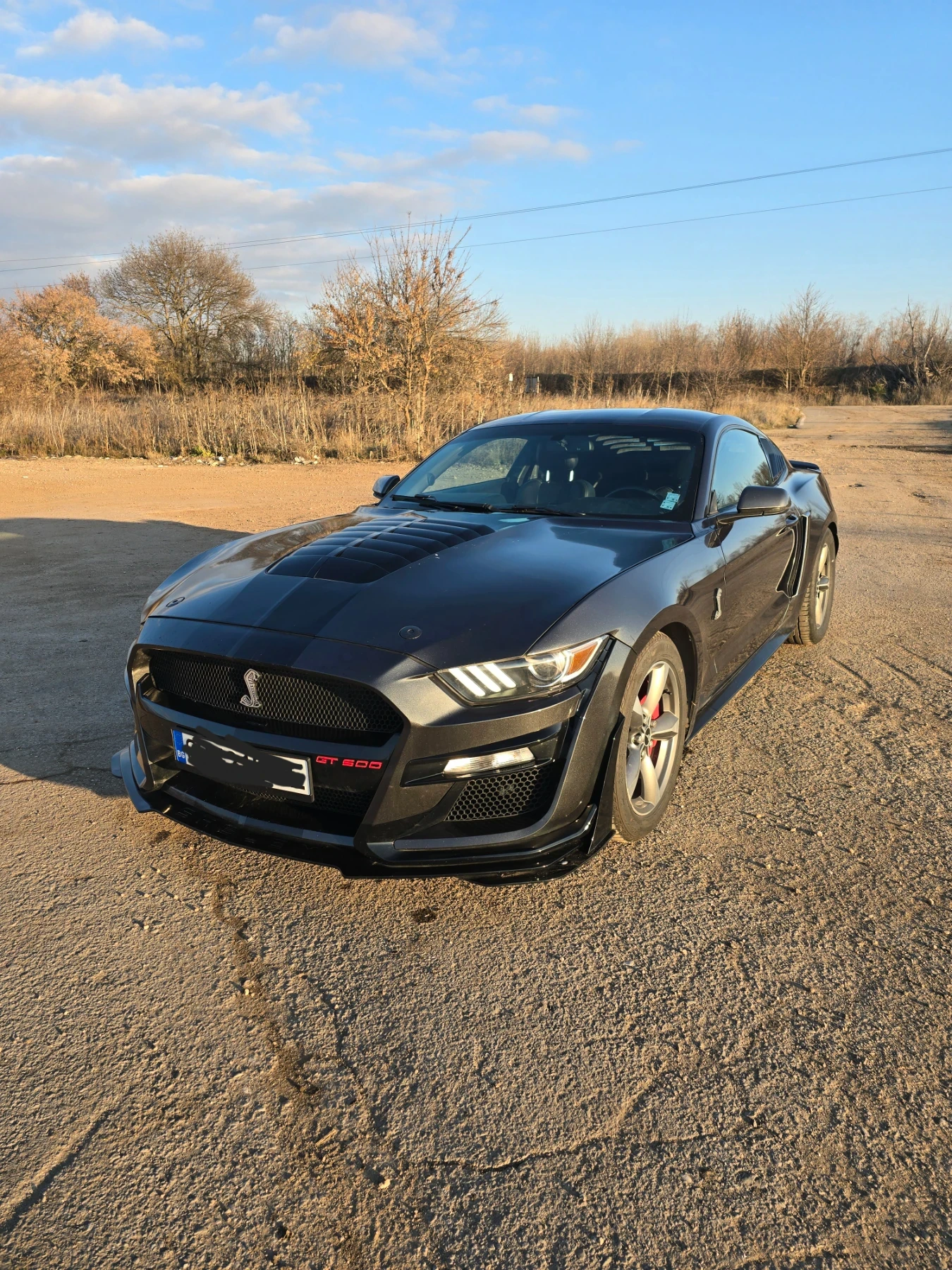 Ford Mustang 5.0 - изображение 2