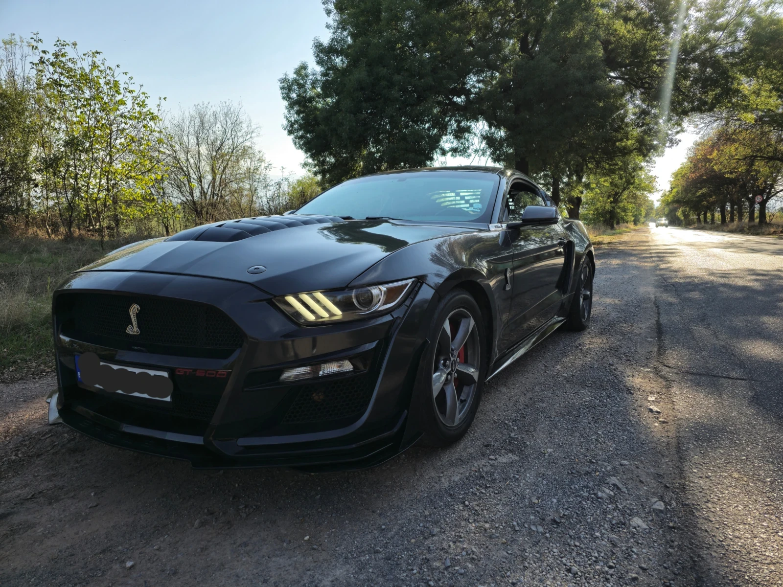 Ford Mustang 5.0 - изображение 2