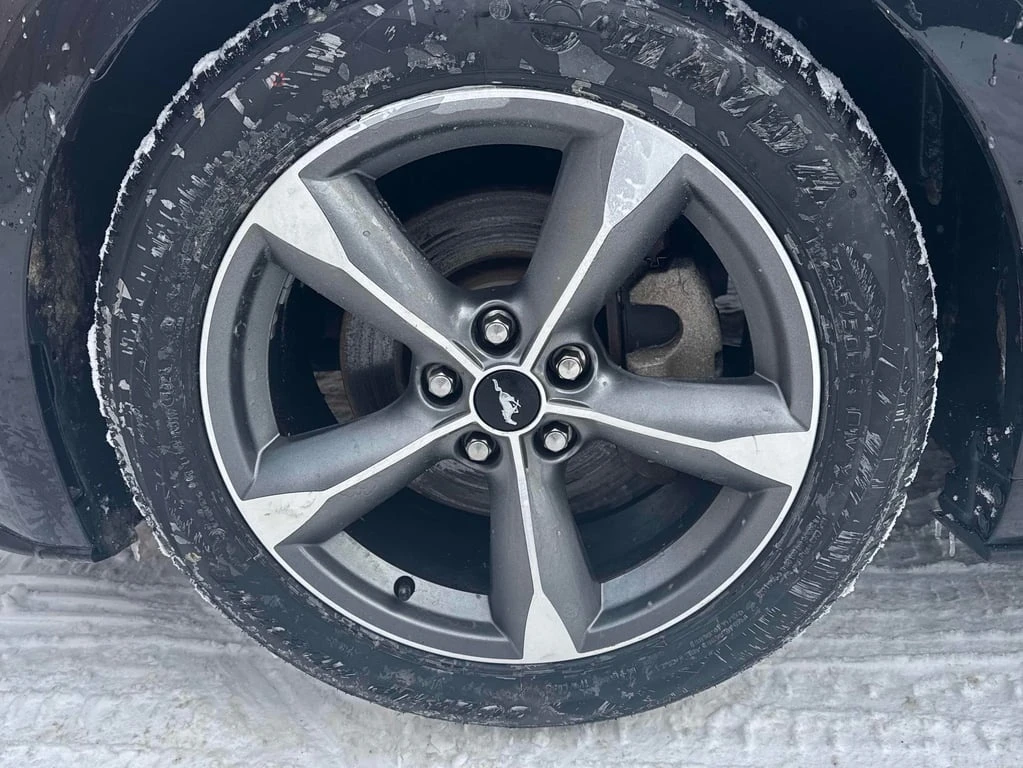 Ford Mustang * V6 * CARFAX * ����� ������* ������*  | Mobile.bg � ����������� 7