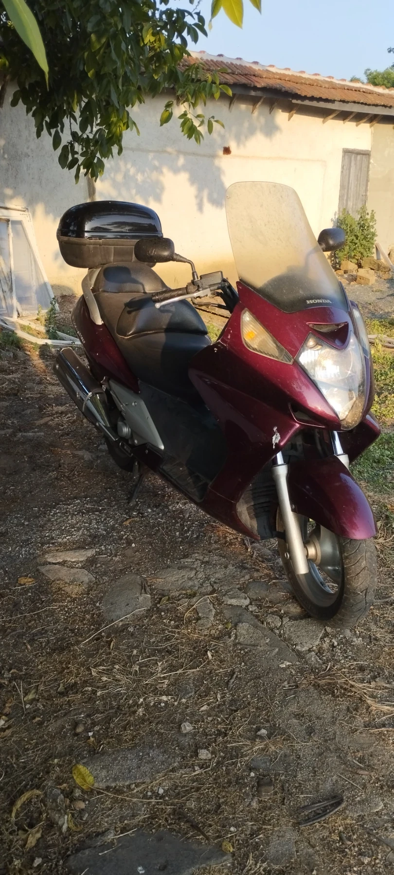 Honda Silver Wing 600 - изображение 2