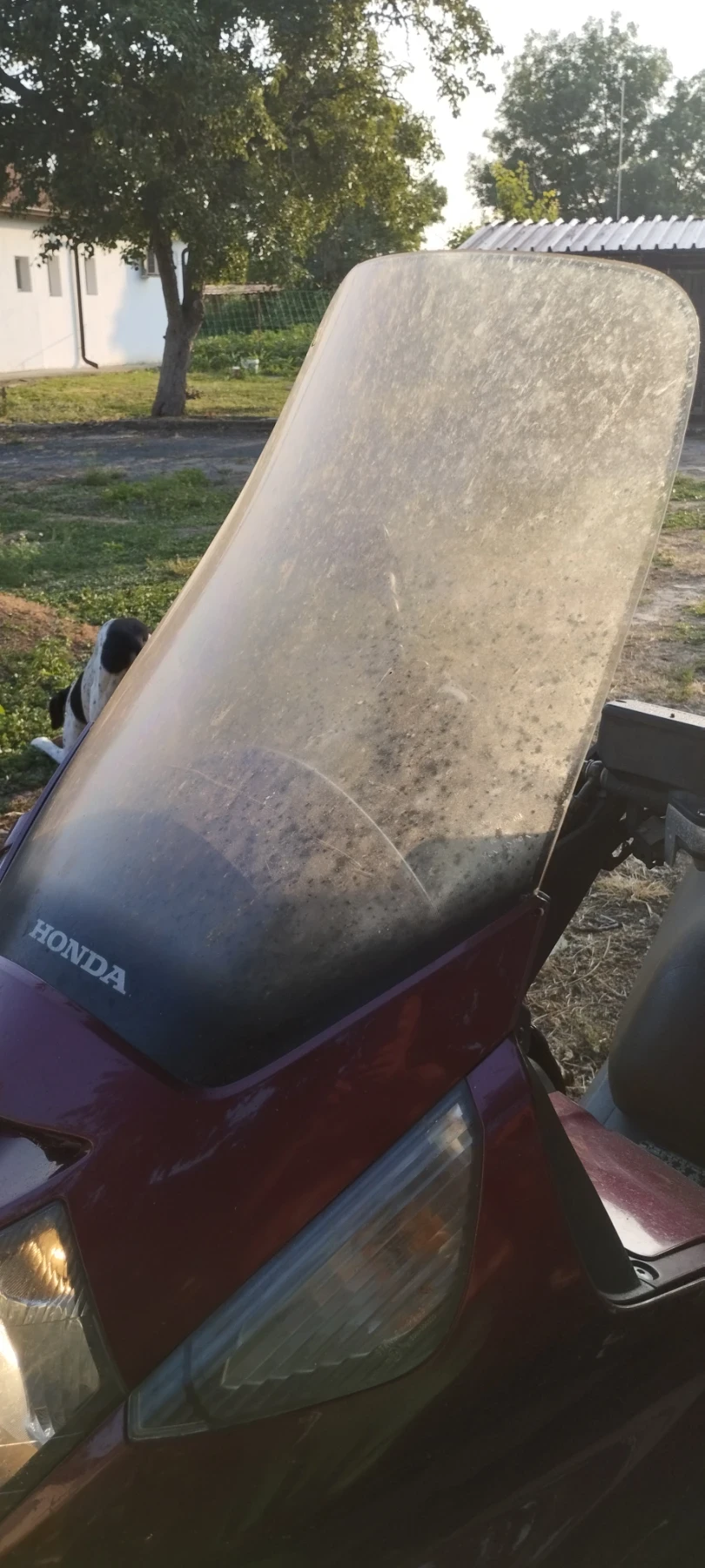 Honda Silver Wing 600 - изображение 4