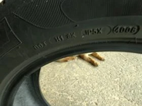 Гуми Летни 225/55R17, снимка 8