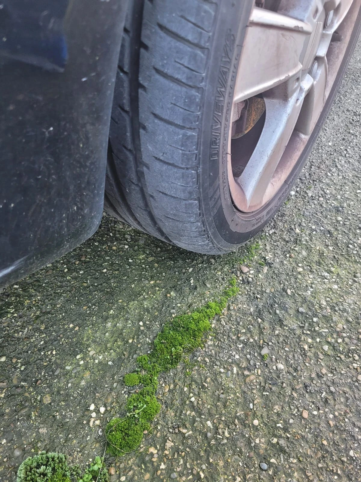 Seat Leon  - изображение 8