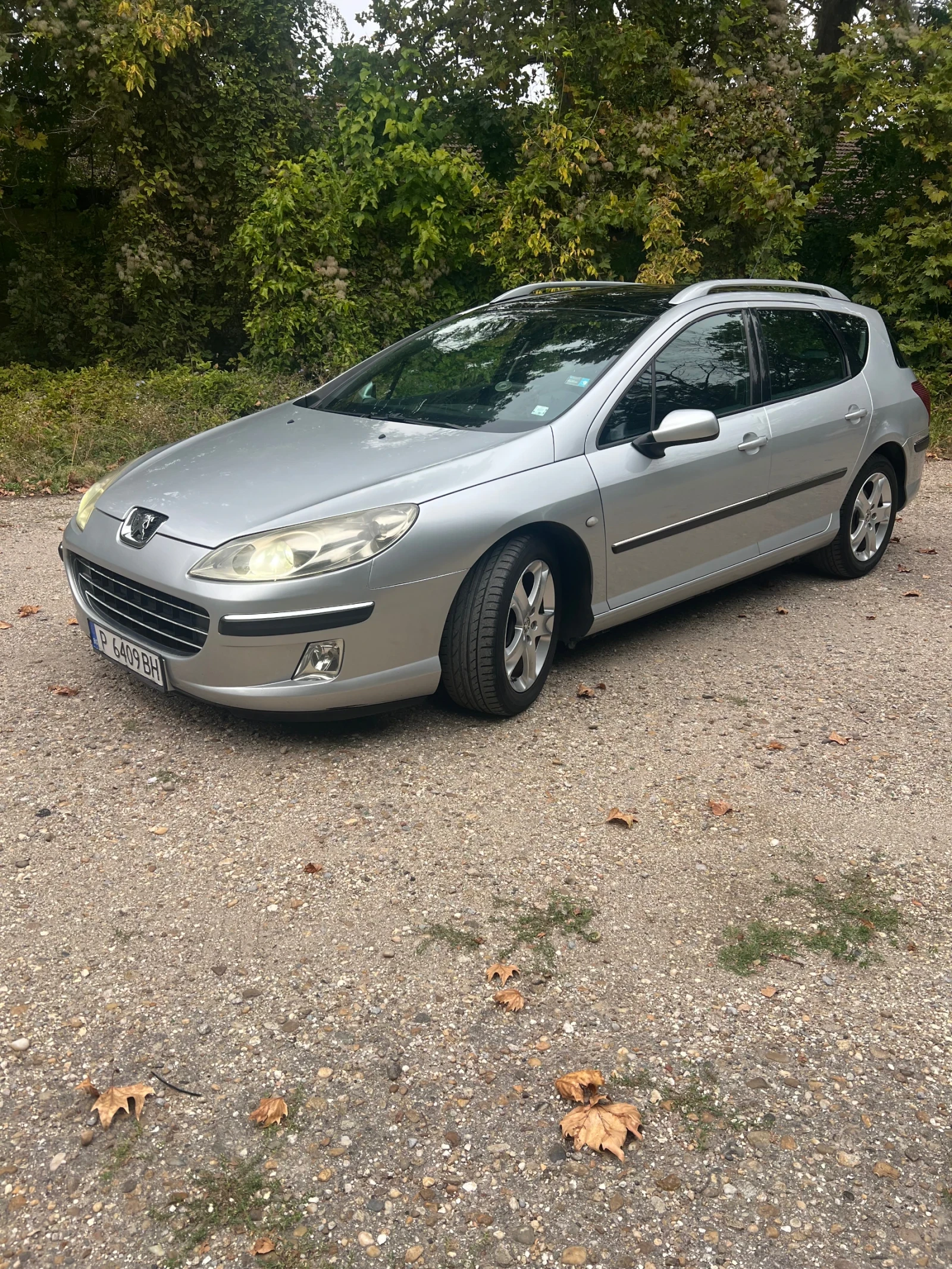 Peugeot 407 2.0 HDI