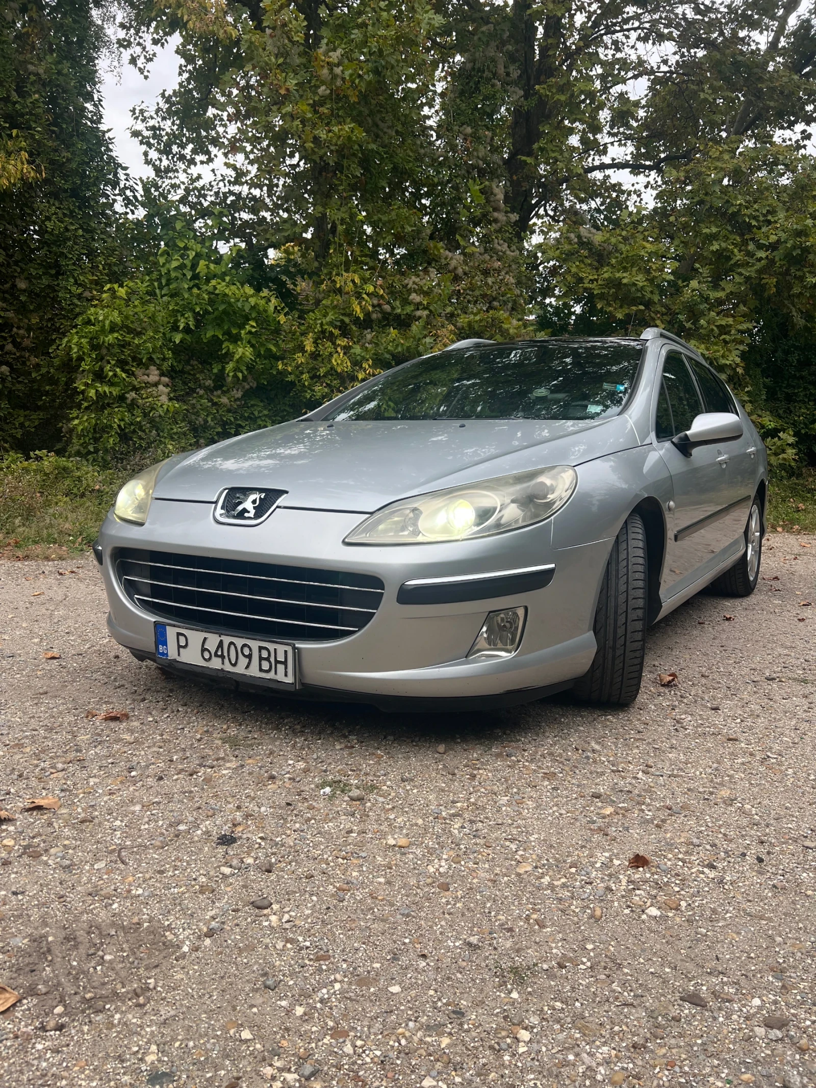 Peugeot 407 2.0 HDI, снимка 2 - Автомобили и джипове - 56239206