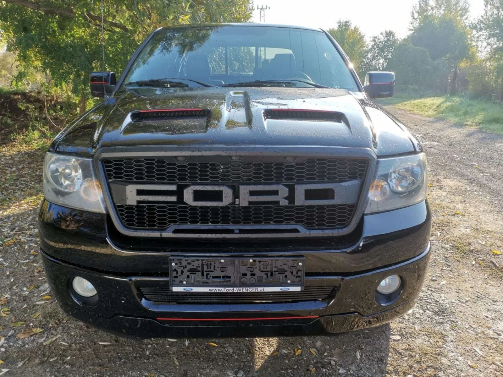 Ford F150 Harley - Davidson   L P G - изображение 5