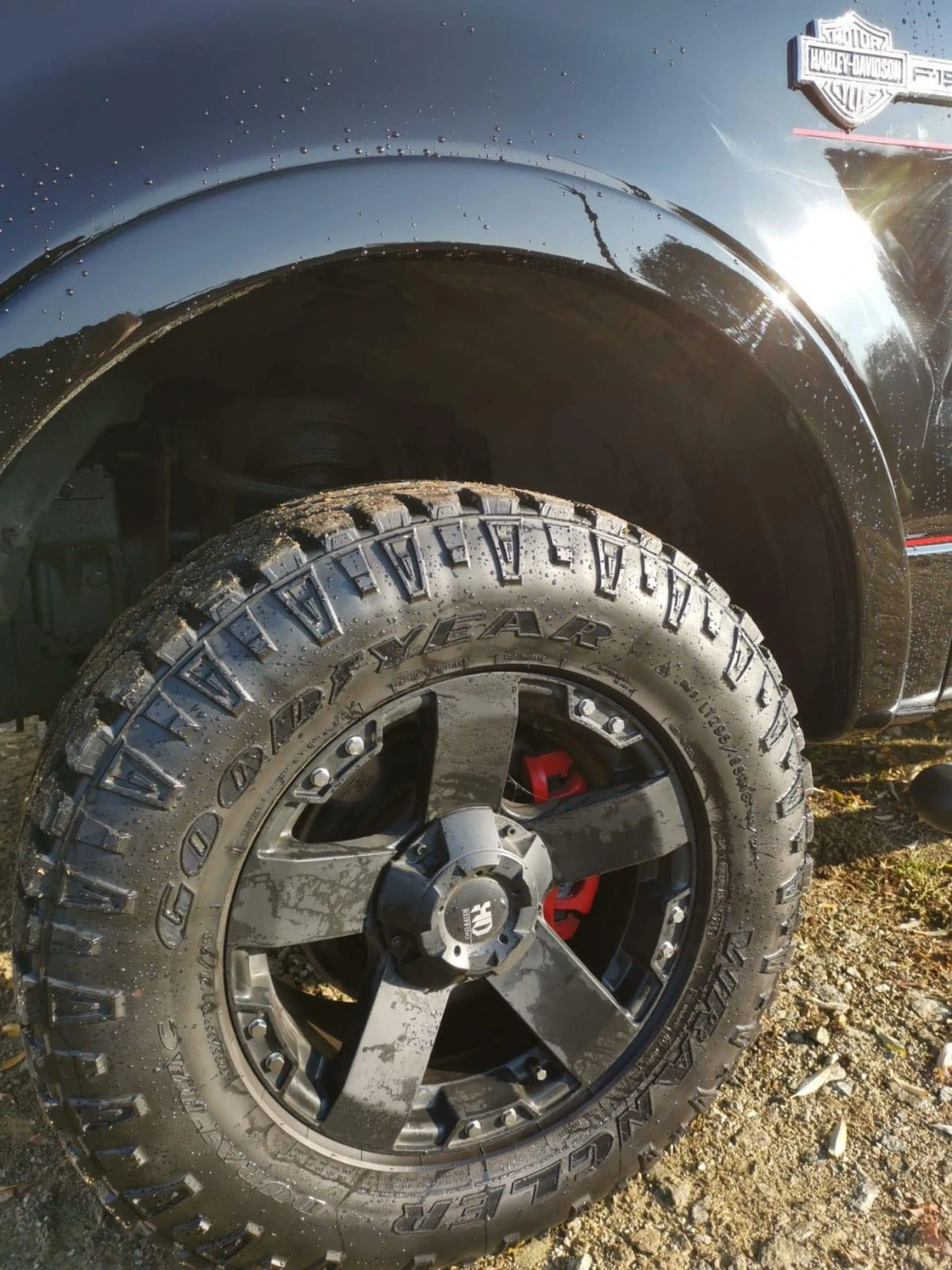 Ford F150 Harley - Davidson   L P G | Mobile.bg � ����������� 15