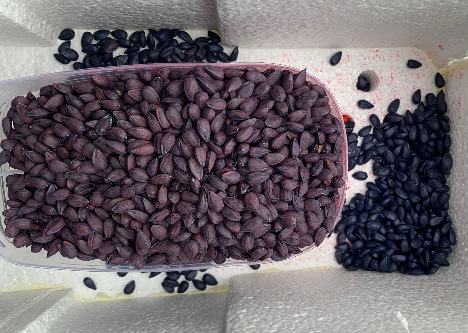      I -3() | Mobile.bg   12