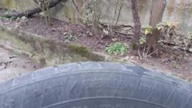  235/55R19 | Mobile.bg    6