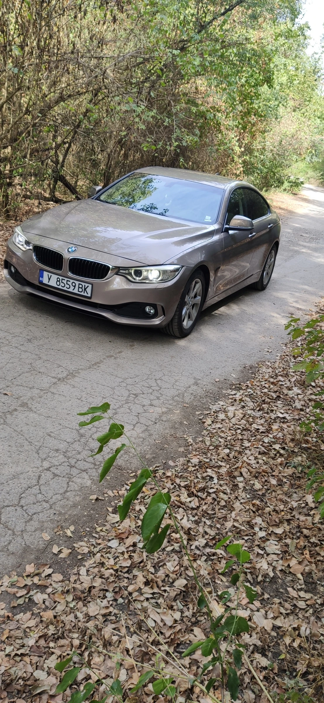 BMW 420 Grand Cupe RWD  - изображение 2