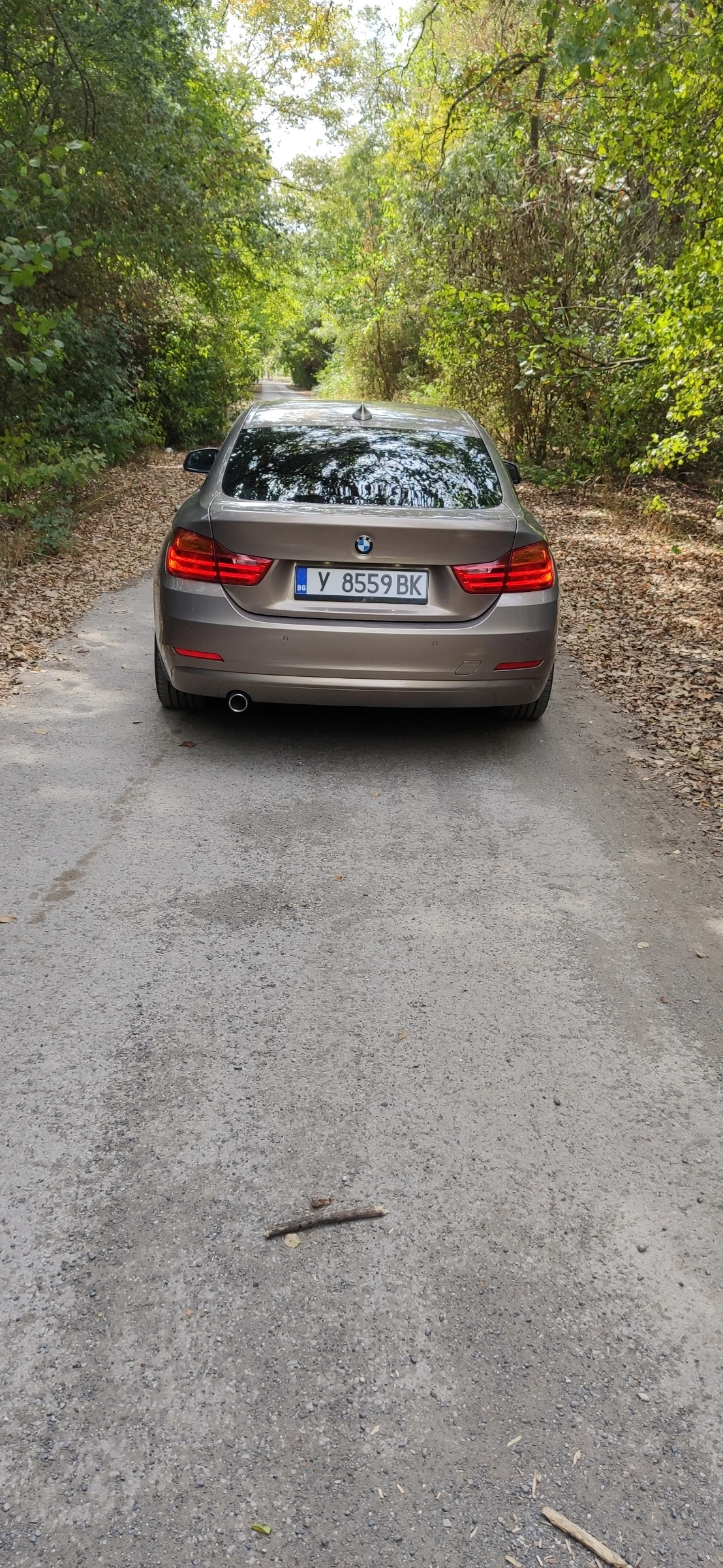 BMW 420 Grand Cupe RWD  - изображение 4