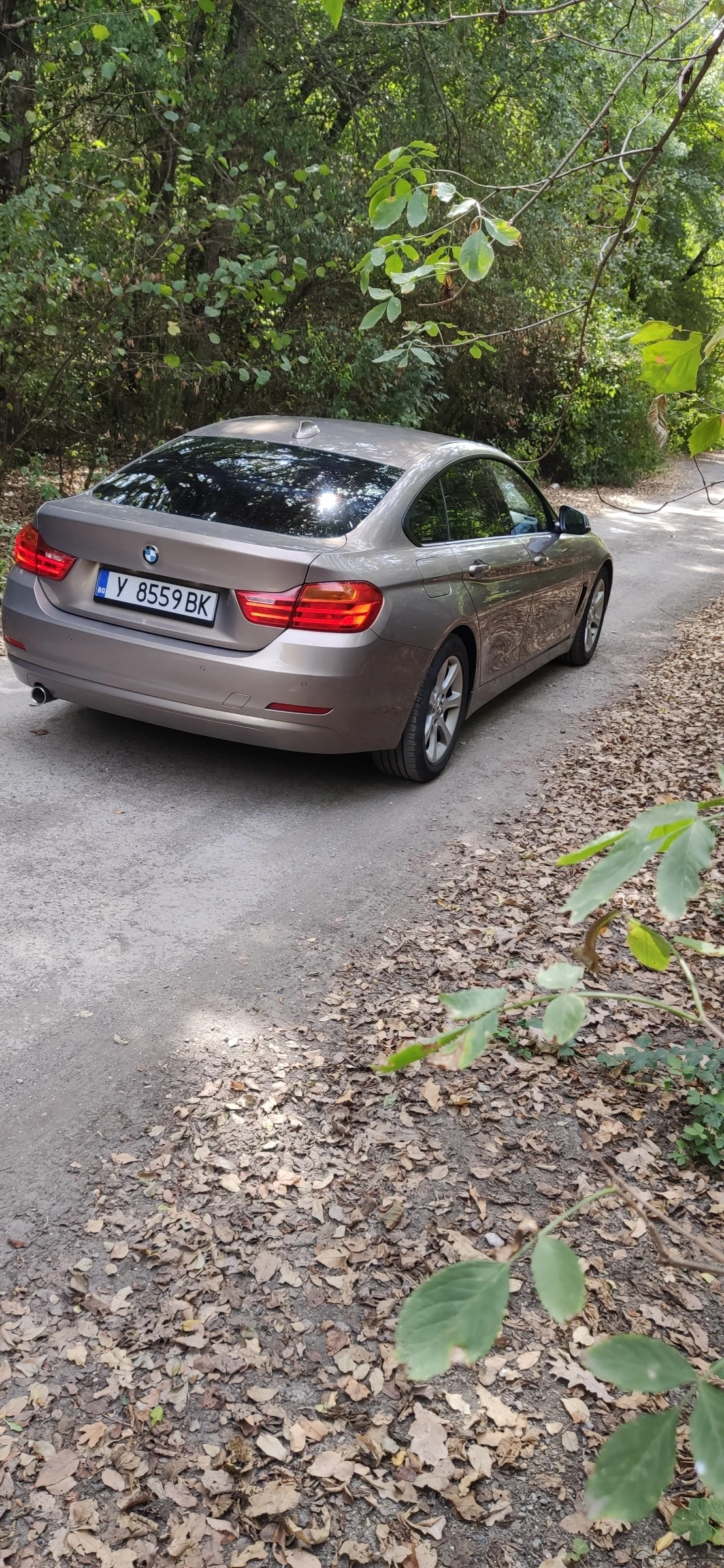 BMW 420 Grand Cupe RWD  - изображение 3
