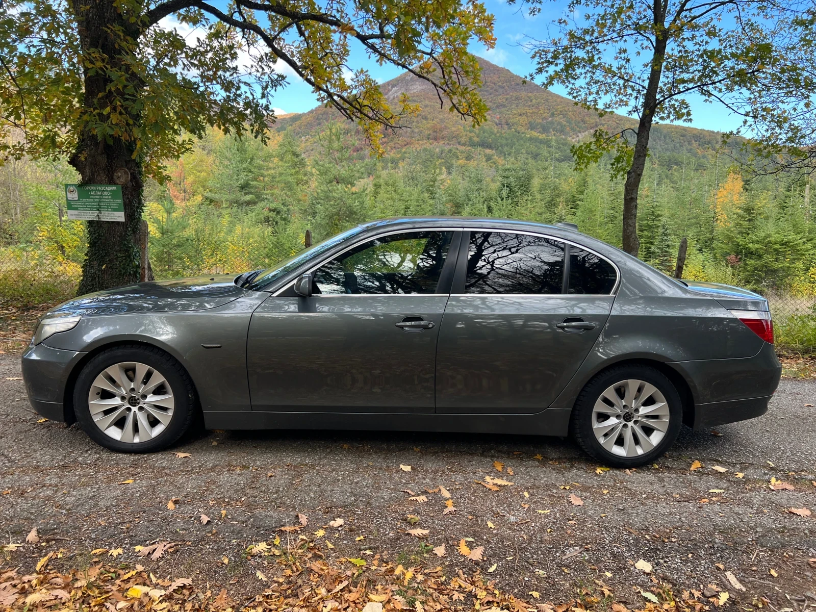 BMW 530 | Mobile.bg — изображение 2