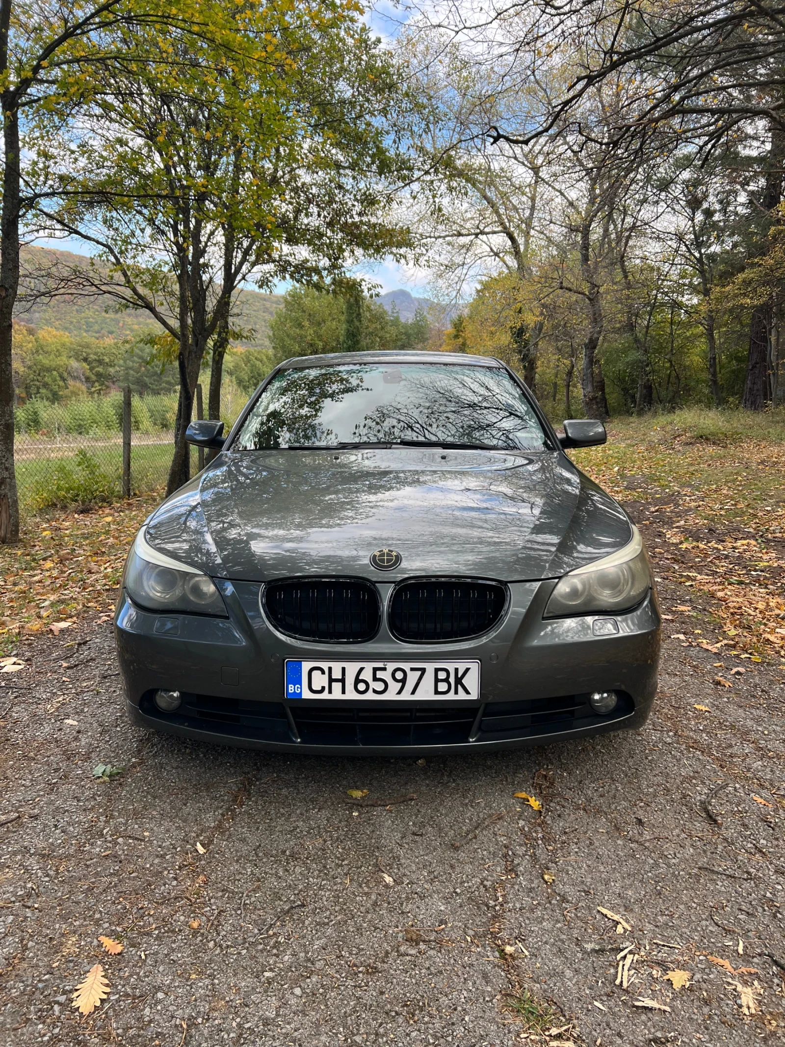 BMW 530 | Mobile.bg — изображение 8