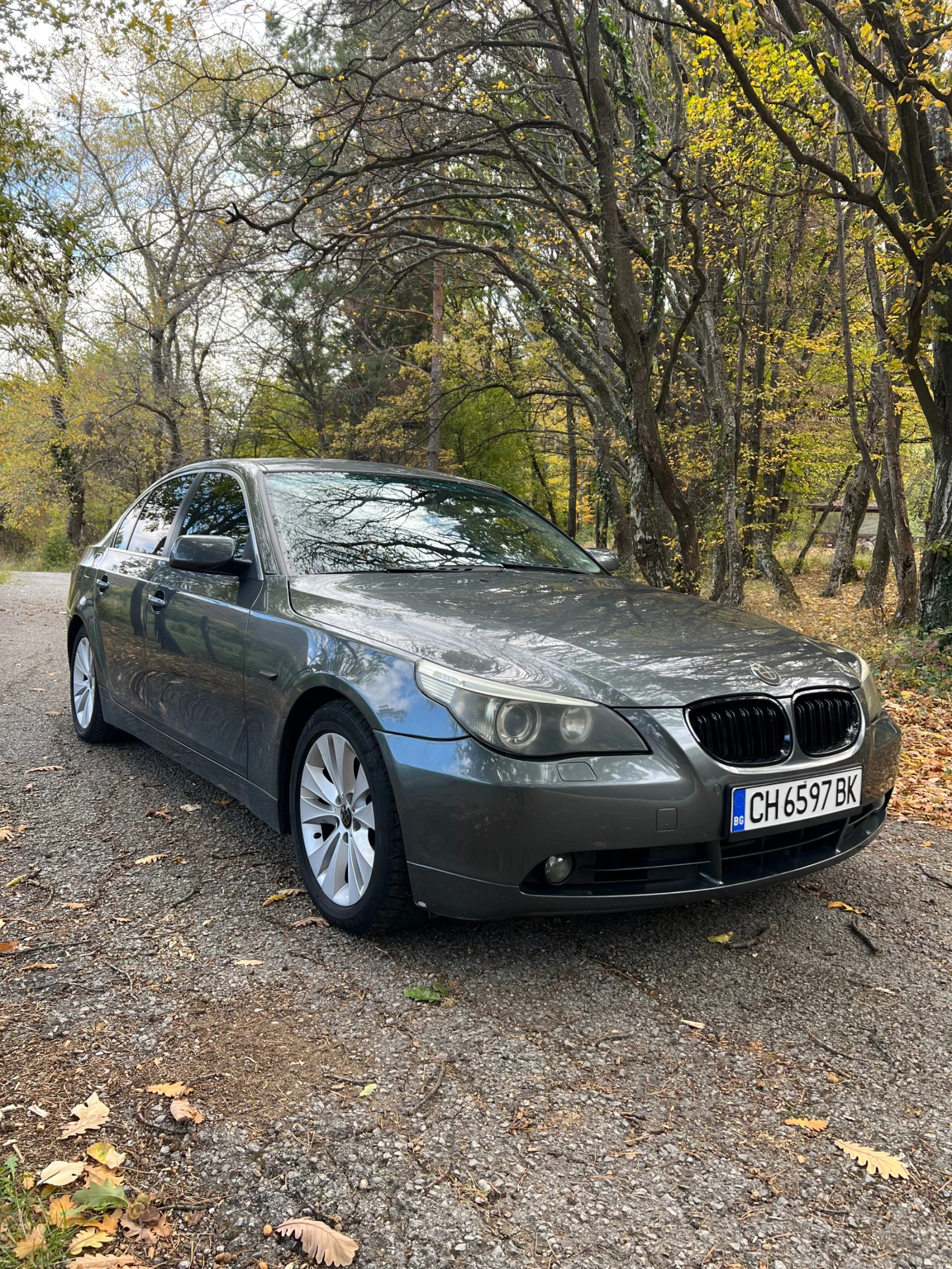 BMW 530 | Mobile.bg — изображение 7