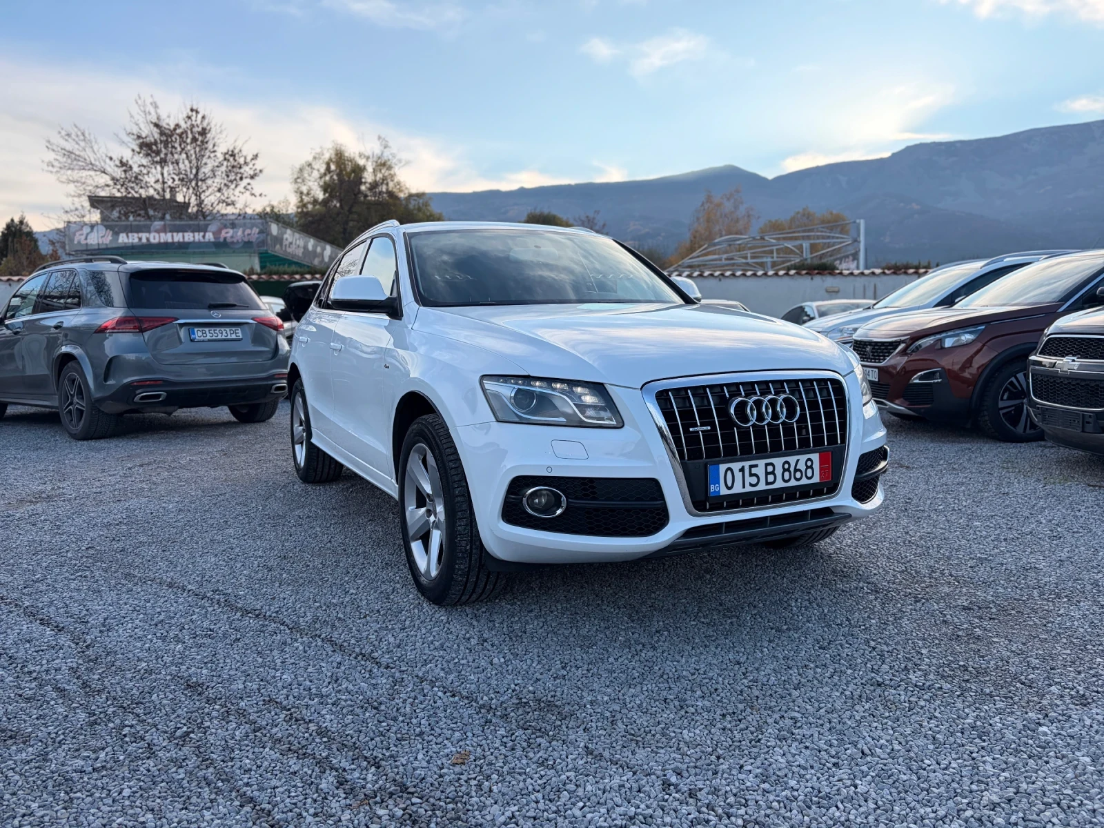 Audi Q5 3.0TDI Quattro S-line  Navi #Camera | Mobile.bg   3
