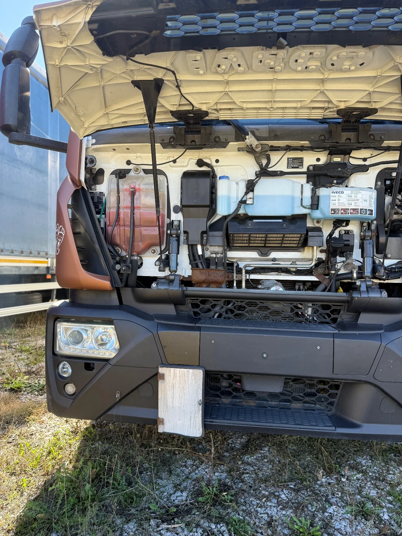 Iveco Eurocargo | Mobile.bg   2