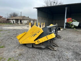 Хедер Fantini, снимка 4