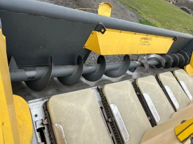 Хедер Fantini, снимка 2