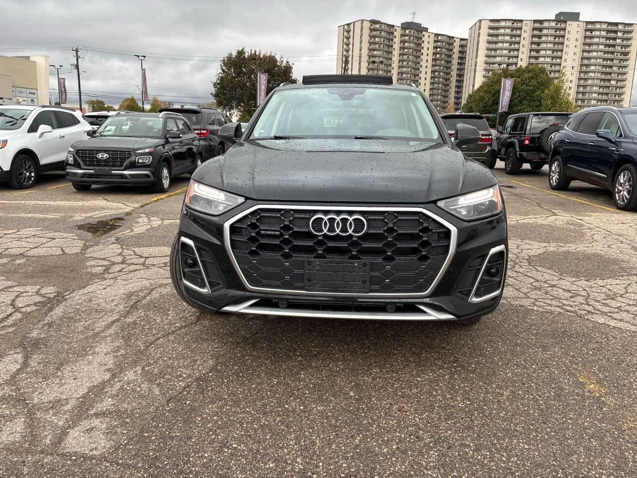 Audi Q5  Progressiv / CARFAX / ��������� / ��������   | Mobile.bg � ����������� 2