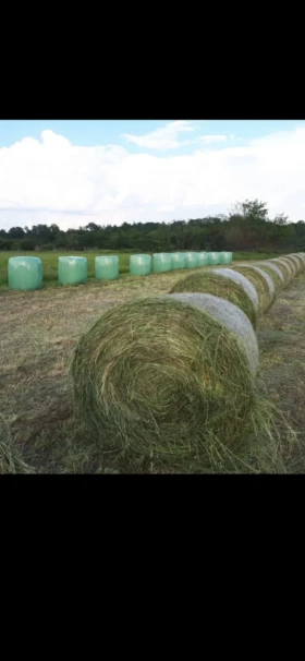 Балировачка John Deere PRONAR Z245 | Auto.bg — изображение 10